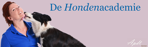 De Hondenacademie