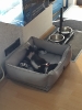 Tesla Pup_16