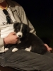 Tesla Pup_1